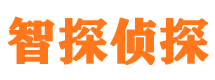 文山侦探公司